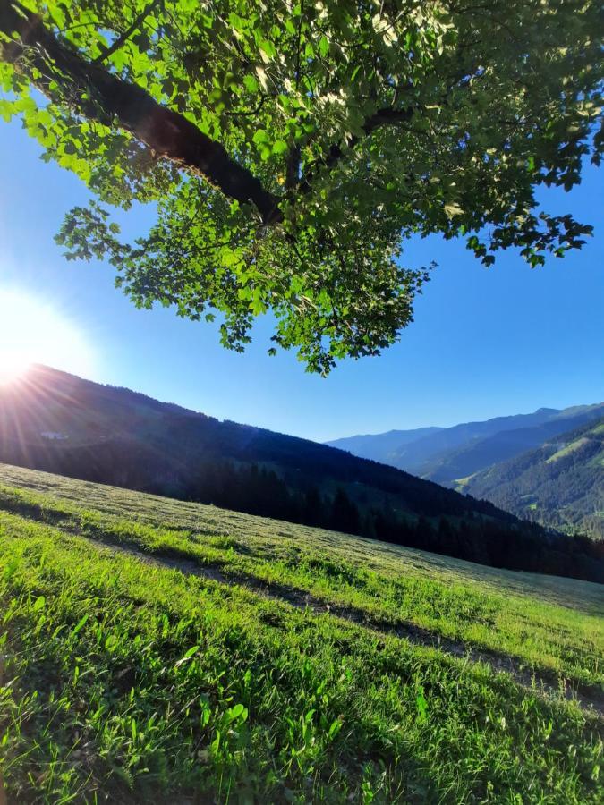 Pension Aberger Заалбах-Хинтерглем Екстериор снимка